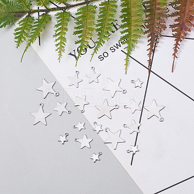304 Stainless Steel Charms STAS-CJ0001-51-1