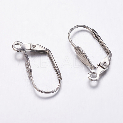 Tarnish Resistant 304 Stainless Steel Leverback Earring Findings LS-STAS-K146-036-19mm-1