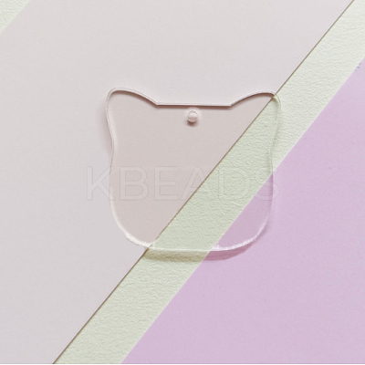 Transparent Acrylic Disc Big Pendants ZXFQ-PW0001-039F-1