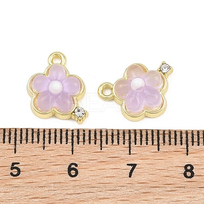 Alloy & Resin Pendants RE-CBA1FD3-15G-1