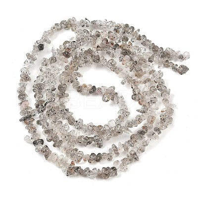 Natural Black Strawberry Quartz Chip Beads Strands G-B160-A03-1