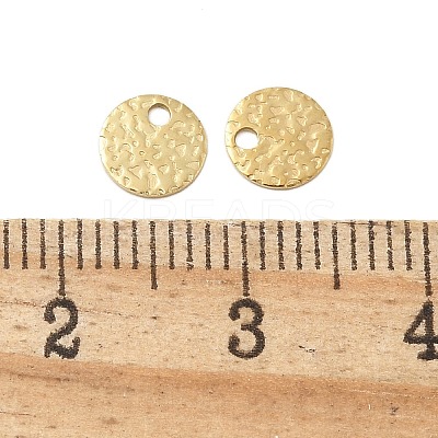 304 Stainless Steel Charms STAS-L022-461G-1