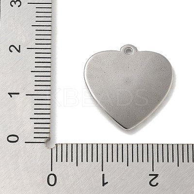 Anti-Tarnish 304 Stainless Steel Pendants STAS-Q334-23P-1