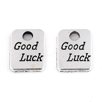Tibetan Style Alloy Charms TIBE-N013-03AS-1