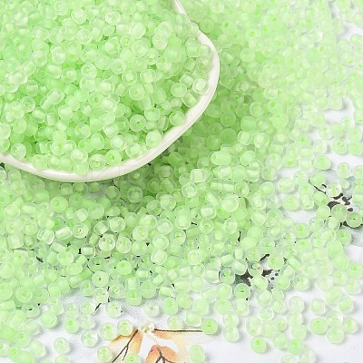 6/0 Luminous Glass Seed Beads SEED-NH0001-01K-1