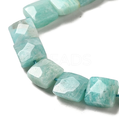 Natural Amazonite Beads Strands G-C109-A12-02-1