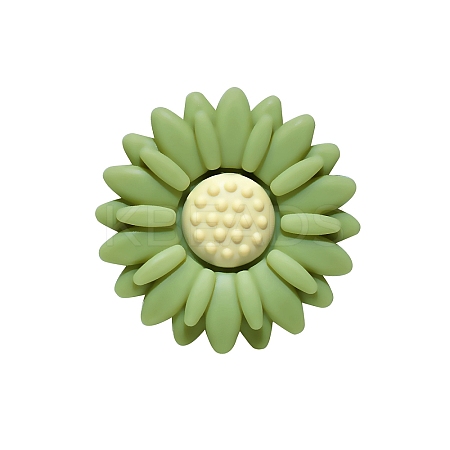 Food Grade Eco-Friendly Silicone Focal Beads FIND-PW0005-04G-1