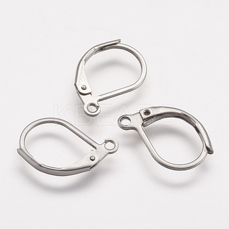Tarnish Resistant 316 Surgical Stainless Steel Leverback Earring Findings LS-X-STAS-P113-01-1