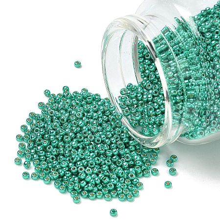 MIYUKI Round Rocailles Beads X-SEED-G007-RR5105-1