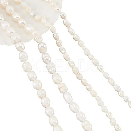 4Strands 2 Styles Natural Cultured Freshwater Pearl Beads Strands PEAR-NB0001-64-1