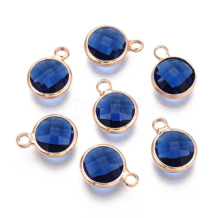 Golden Tone Brass Glass Charms X-GLAA-ZX008-24C-G-1