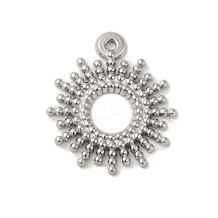 Non-Tarnish 304 Stainless Steel Pendants LS-STAS-G312-01P-1