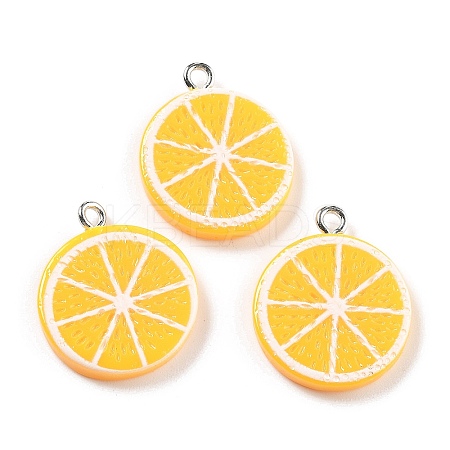 Opaque Resin Pendants RESI-S013-02H-1