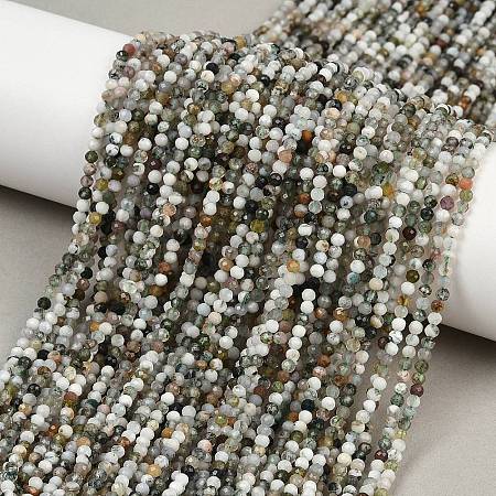 Natural Moss Agate Beads Strands G-RM2025-A33-2mm-1