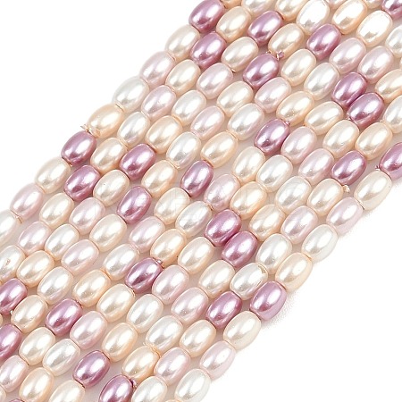 Electroplated Shell Pearl Beads Strands BSHE-H113-06B-01-1