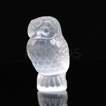 Owl Natural Selenite Figurines DJEW-PW0021-10-1