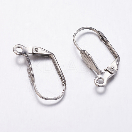 Tarnish Resistant 304 Stainless Steel Leverback Earring Findings LS-STAS-K146-036-19mm-1