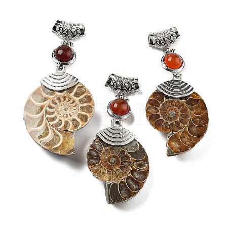 Natural Carnelian Fossil Snail Pendants G-F062-15-1