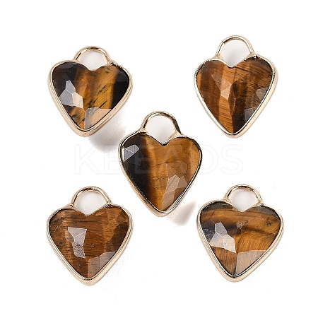 Natural Tiger Eye Faceted Pendans KK-L218-005G-01-1
