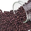 TOHO Round Seed Beads X-SEED-TR11-0222F-1