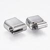 304 Stainless Steel Magnetic Clasps with Glue-in Ends STAS-F130-25P-2