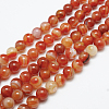 Natural Red Agate Bead Strands LS-G-G880-05-8mm-2