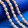 Natural Cultured Freshwater Pearl Beads Strands PEAR-R064-19-5