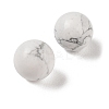 Natural Howlite No Hole Sphere Beads G-K353-04A-20-2