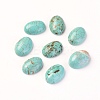 Natural Magnesite Cabochons TURQ-L031-038G-04-1