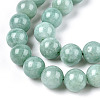 Natural Myanmar Jade/Burmese Jade Beads Strands X-G-T064-22-10mm-3