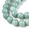 Natural Myanmar Jade/Burmese Jade Beads Strands X-G-T064-22-10mm-3