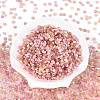 Imitation Cat Eye Glass Seed Beads SEED-N007-31D-2