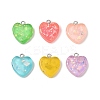Transparent Resin Pendants RESI-Q020-03A-1