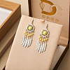 Alloy Resin Dangle Earrings FS-WG73BC7-10-1