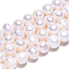 Natural Cultured Freshwater Pearl Beads Strands PEAR-N013-17N-01-5