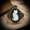 Alloy with Resin Finger Rings FS-WGE901F-02-3