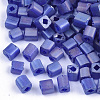 6/0 Transparent Glass Seed Beads SEED-S027-03B-13-1