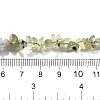 Natural Prehnite & Blue Lace Agate Beads Strands G-L610-A20-01-5
