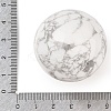 Natural Howlite Sphere Beads G-I367-07F-2
