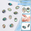 10Pcs Natural Paua Shell Cabochons FIND-BC0005-54-4