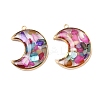 304 Stainless Steel Pendants STAS-C146-03G-02-1