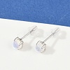 Anti-Tarnish 925 Sterling Silver Stud Earrings LS-EJEW-M202-01-5