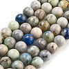 Natural Hackmanite Sodalite Beads Strands G-Z063-A03-01-1