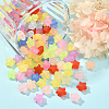 Rubberized Style Frosted Acrylic Beads FACR-CJ0001-16-6