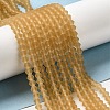 Imitate Austrian Crystal Frosted Glass Beads Strands GLAA-F029-TM4mm-B18-4