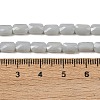 Opaque Glass Beads Strands GLAA-Z018-D19-4