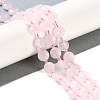 Natural Rose Quartz Beads Strands G-N342-07-2