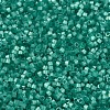 MIYUKI Delica Beads SEED-J020-DB1813-3
