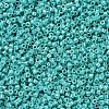 MIYUKI Delica Beads SEED-X0054-DB0166-2