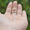 Glass Bottles Ornament LS-BOTT-PW0002-073B-1